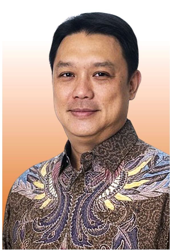 Ir. Ronald Agustino